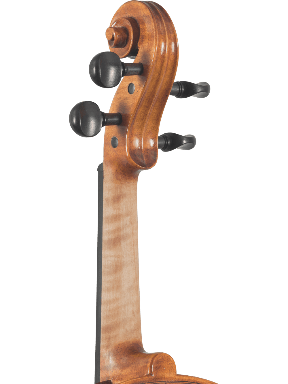 Intermediate Viola Outfit – Canzona Caprice 300 Series (Hand-Carved Spruce & Maple) - AAA Band Instrument Rentals