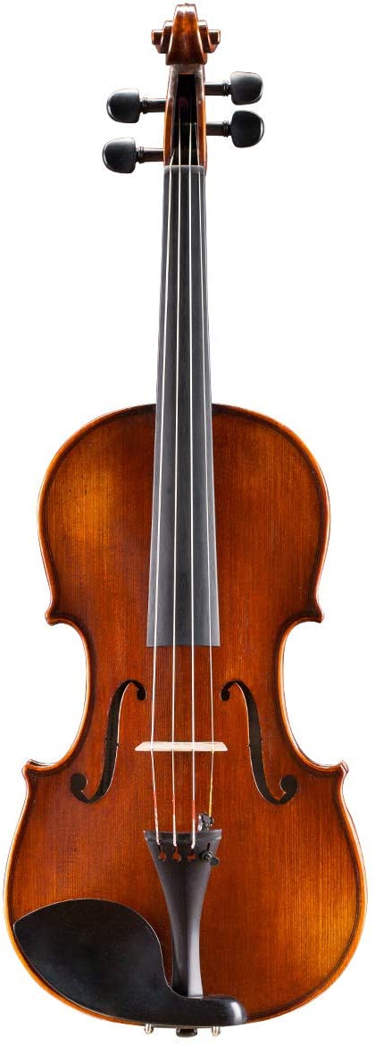 Intermediate Violin Outfit – Andreas Eastman VL305 - AAA Band Instrument Rentals