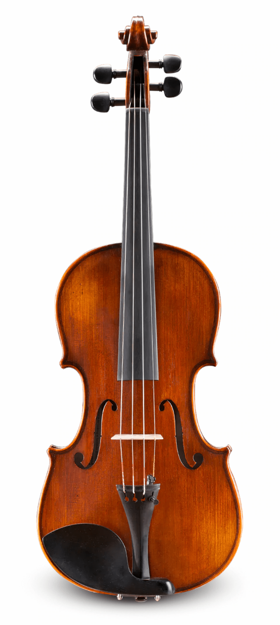 Intermediate Violin Outfit – Andreas Eastman VL305 - AAA Band Instrument Rentals