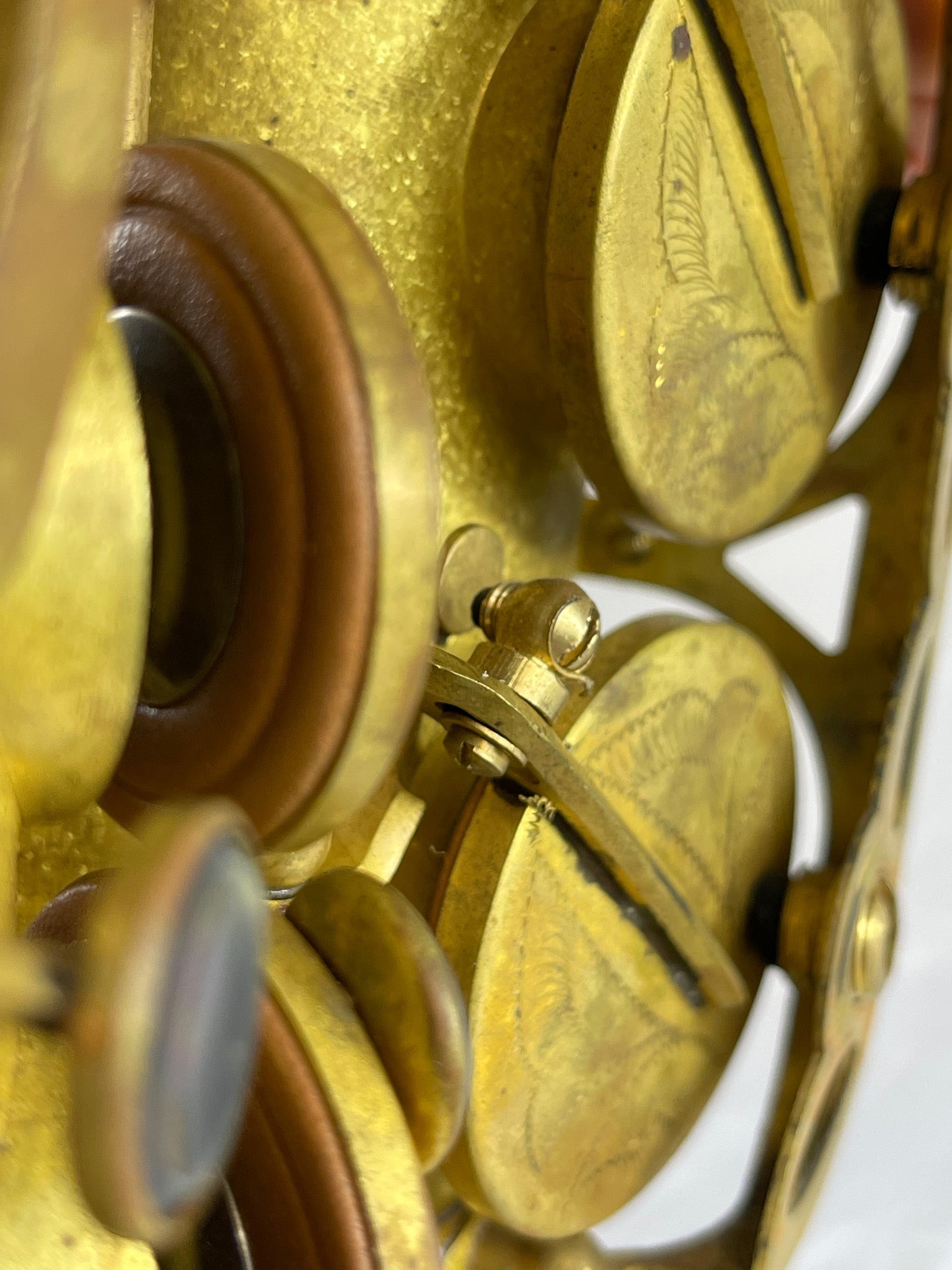 Reverence Pro - Alto Saxophone (Antique Finish) - AAA Band Instrument Rentals