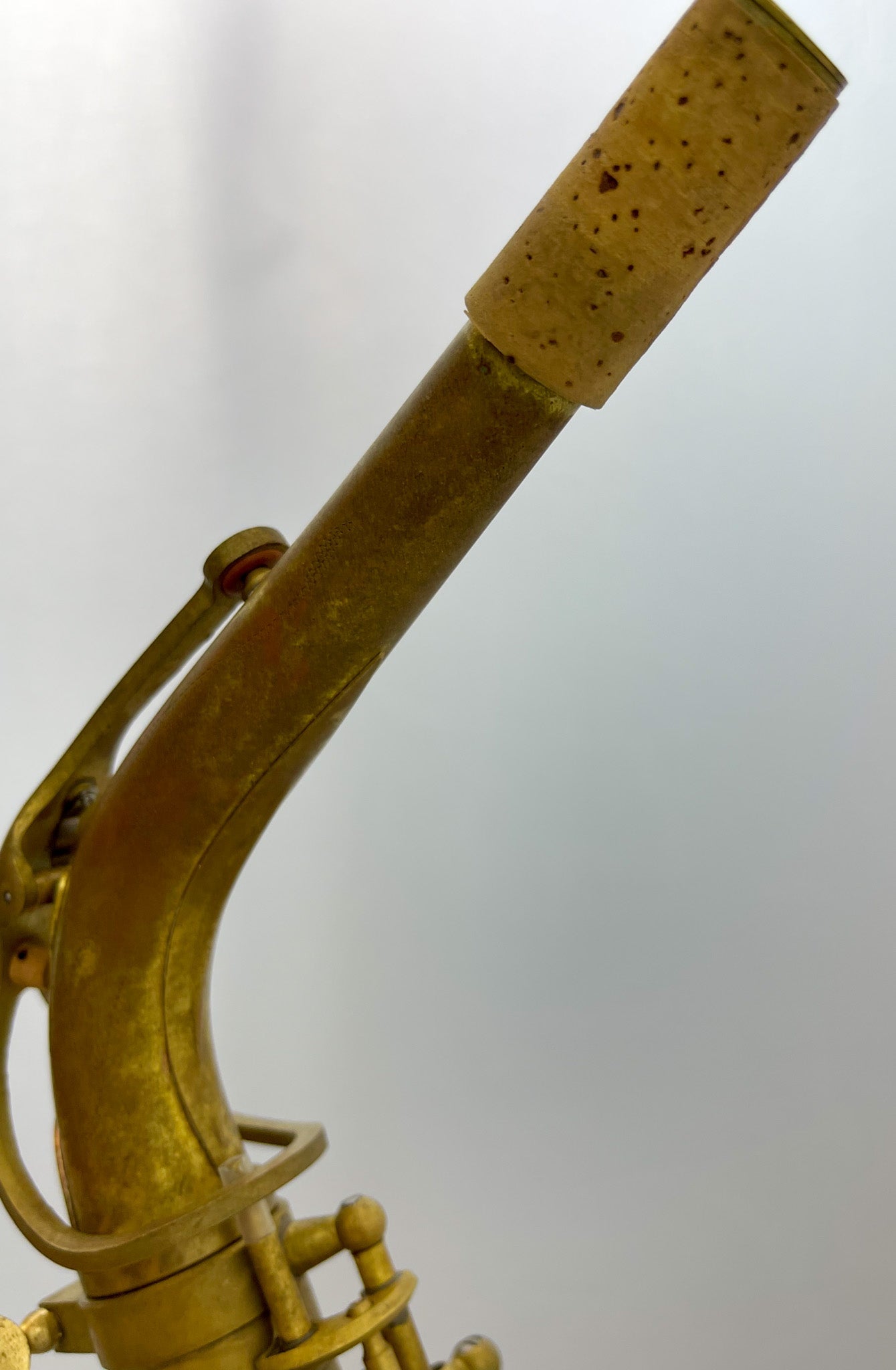 Reverence Pro - Alto Saxophone (Antique Finish) - AAA Band Instrument Rentals