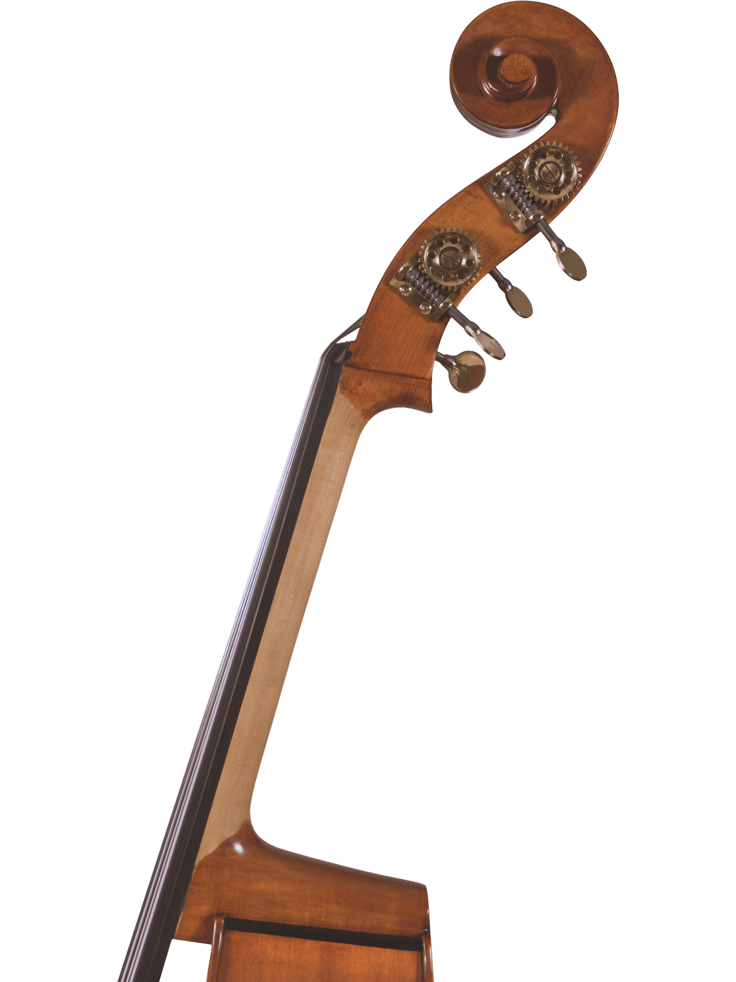 Student Bass – Canzona 300 Caprice - AAA Band Instrument Rentals