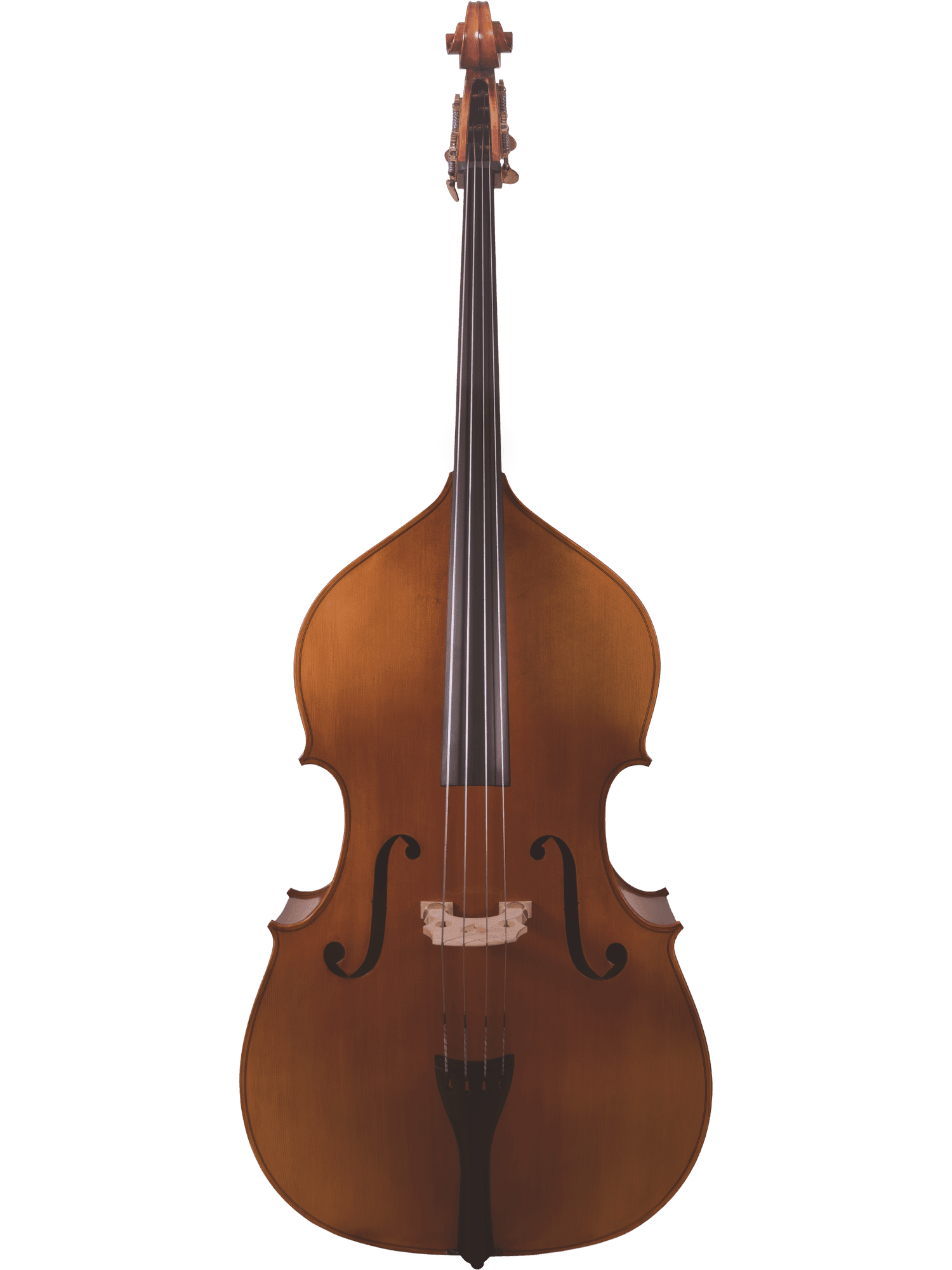 Student Bass – Canzona 300 Caprice - AAA Band Instrument Rentals