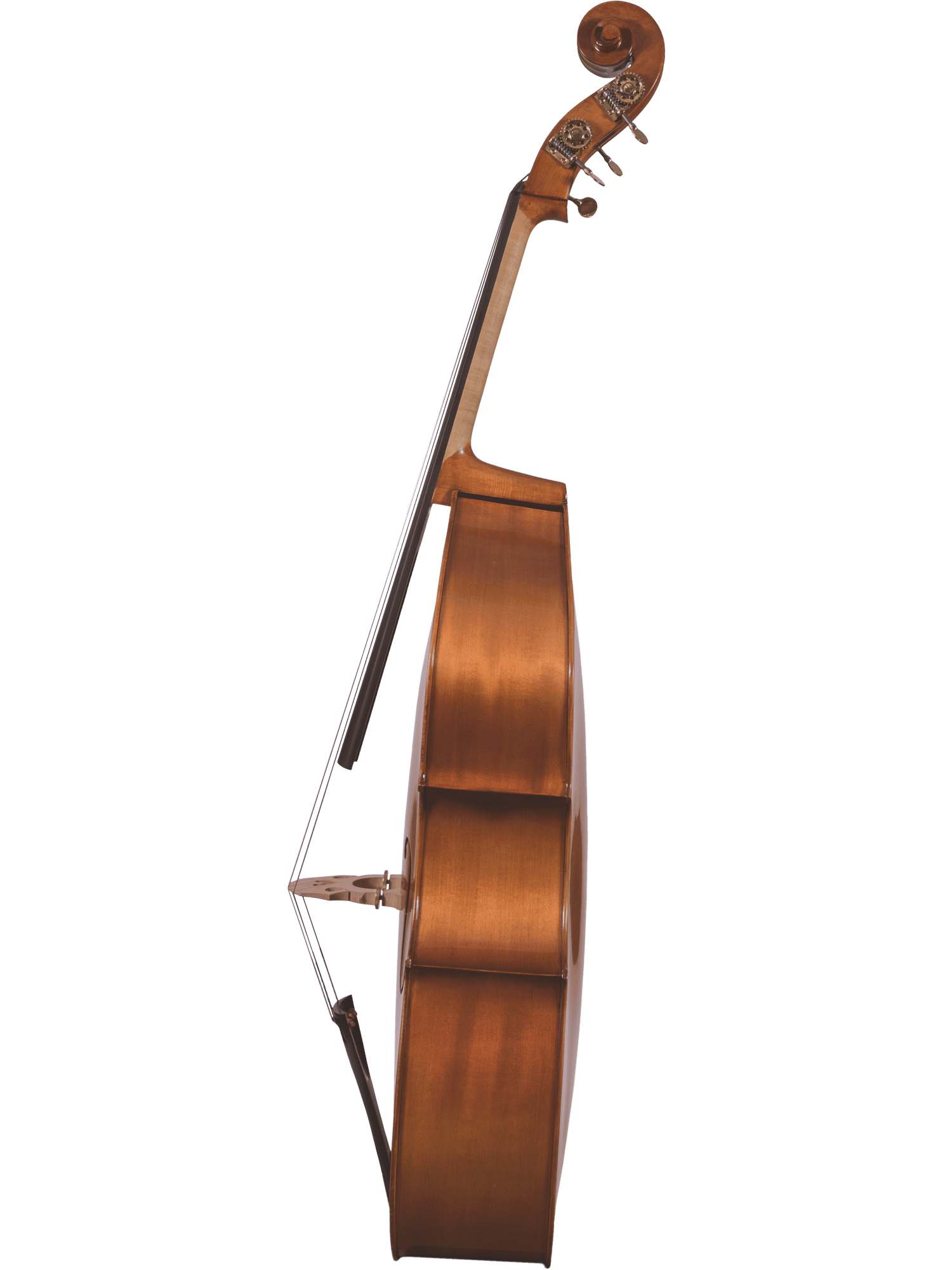 Student Bass – Canzona 300 Caprice - AAA Band Instrument Rentals