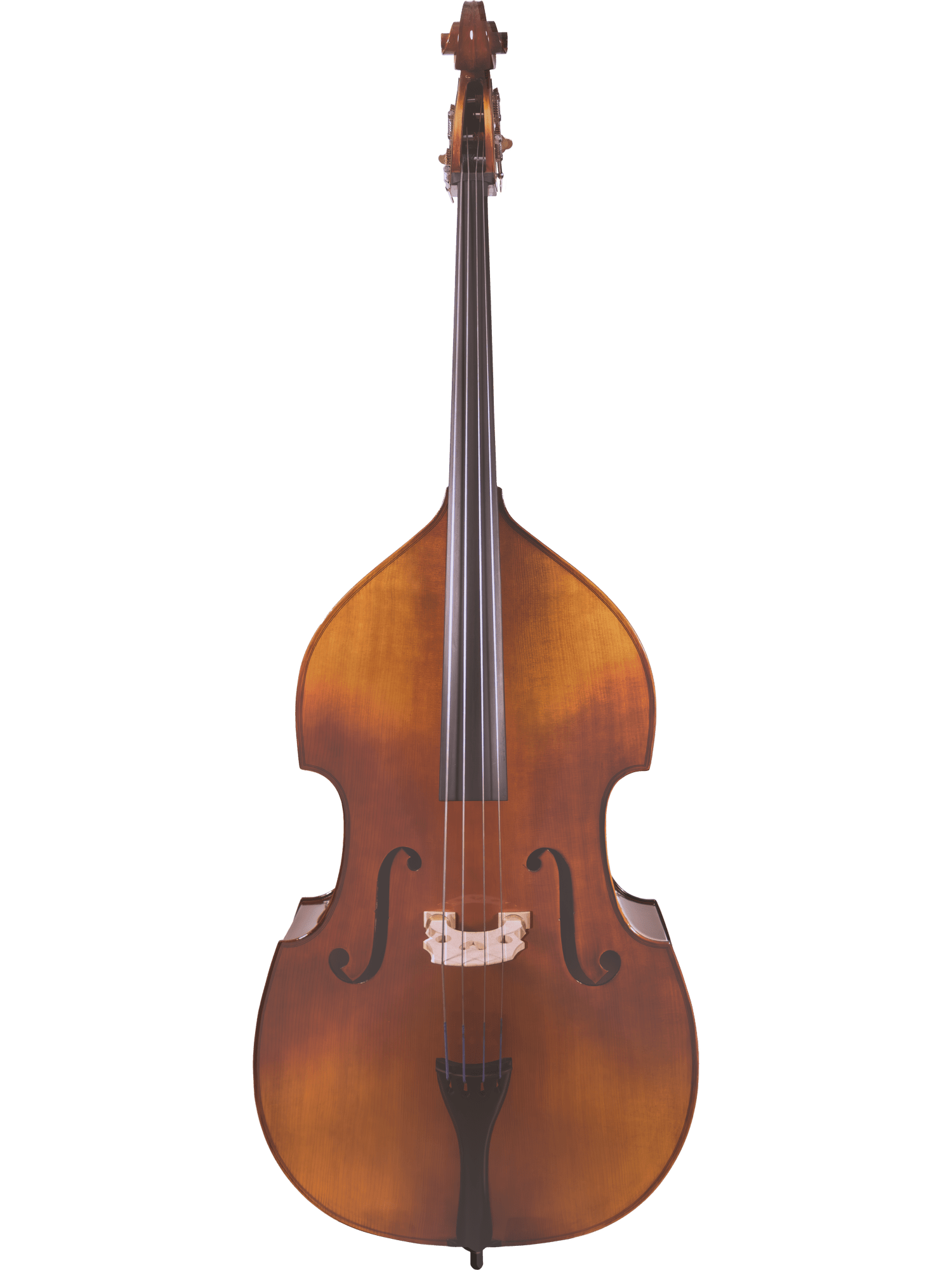 Student Bass Outfit – Canzona 200 Sonata - AAA Band Instrument Rentals