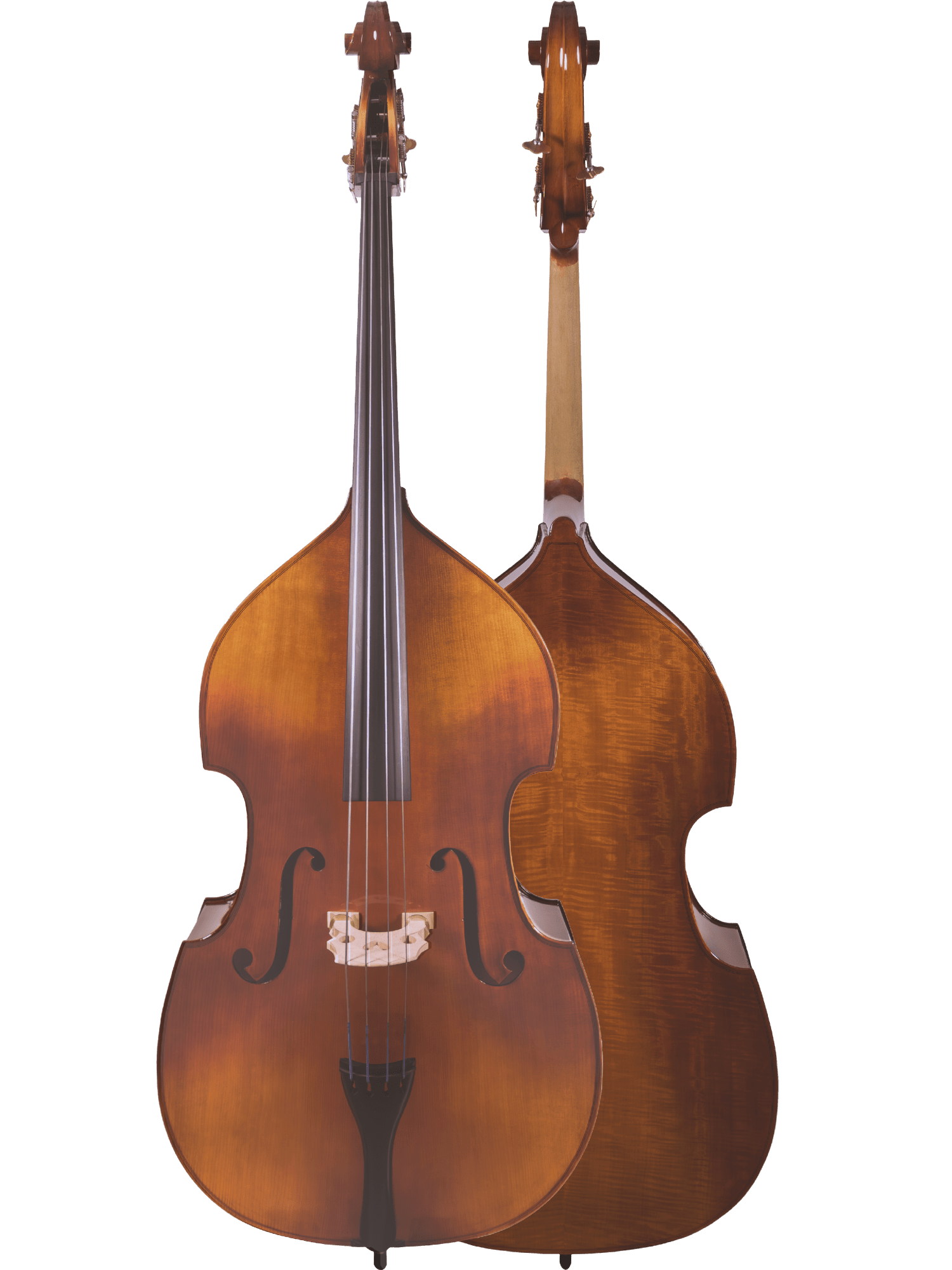 Student Bass Outfit – Canzona 200 Sonata - AAA Band Instrument Rentals