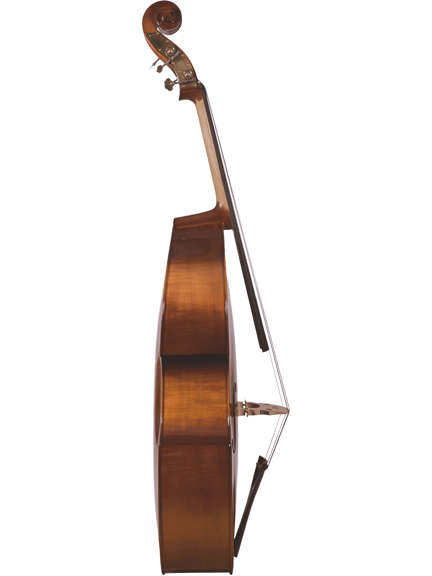 Student Bass Outfit – Canzona 200 Sonata - AAA Band Instrument Rentals