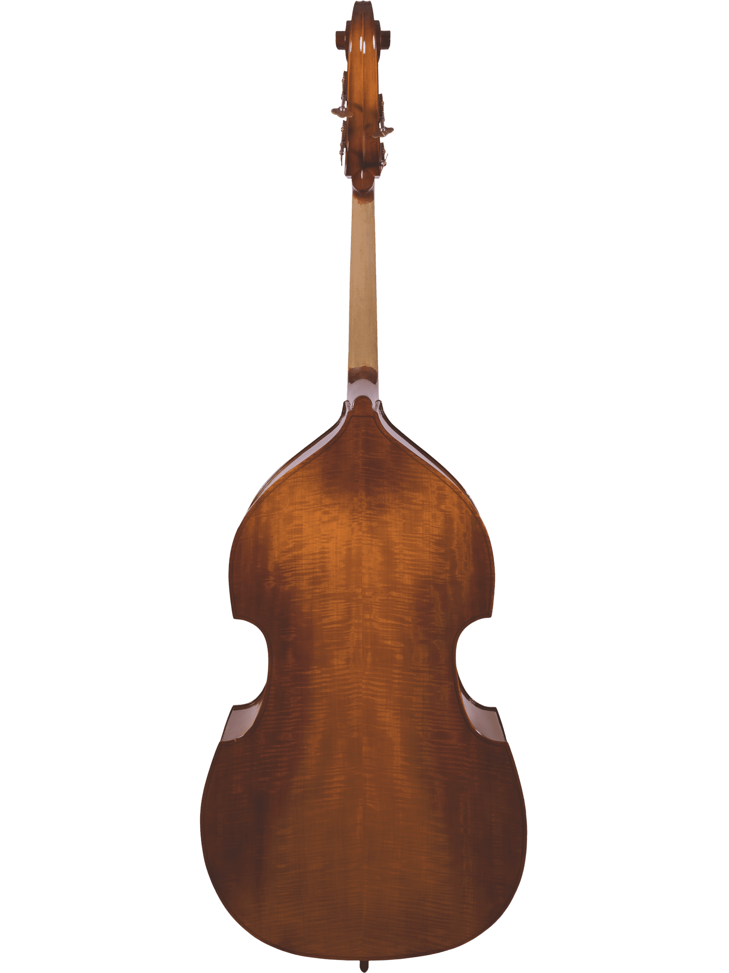 Student Bass Outfit – Canzona 200 Sonata - AAA Band Instrument Rentals