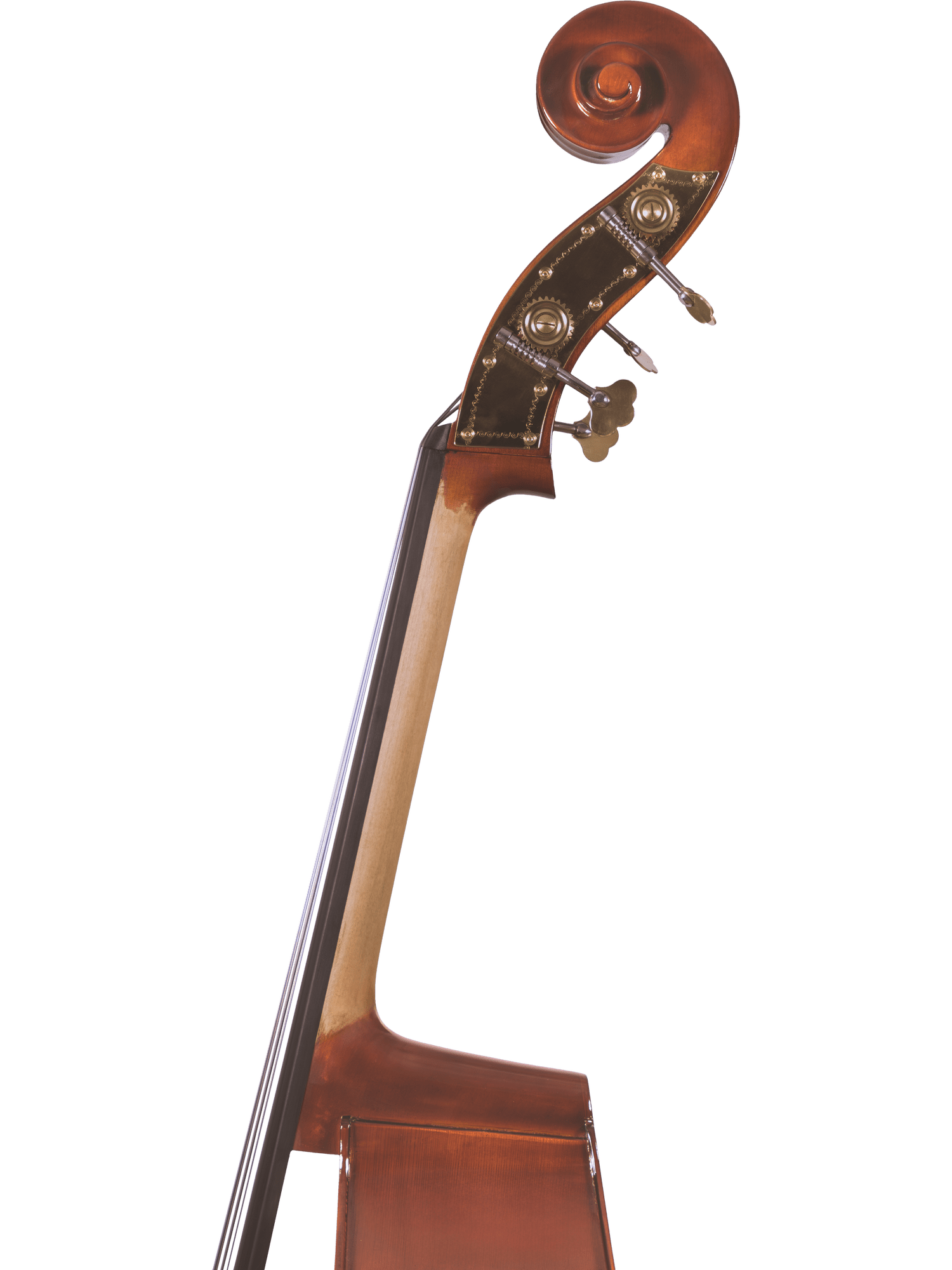 Student Bass Outfit – Canzona 200 Sonata - AAA Band Instrument Rentals