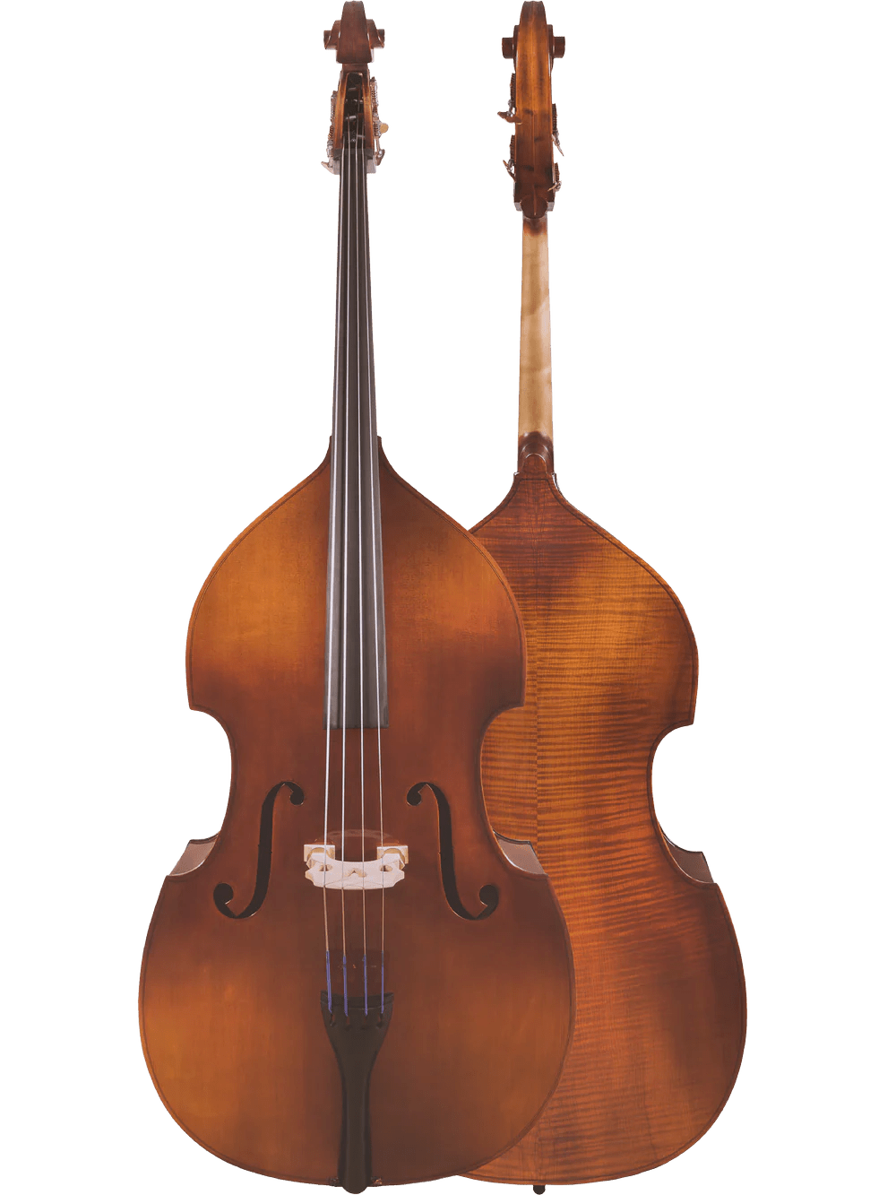 Student Double Bass Outfit – Canzona Allegra 100 Series - AAA Band Instrument Rentals
