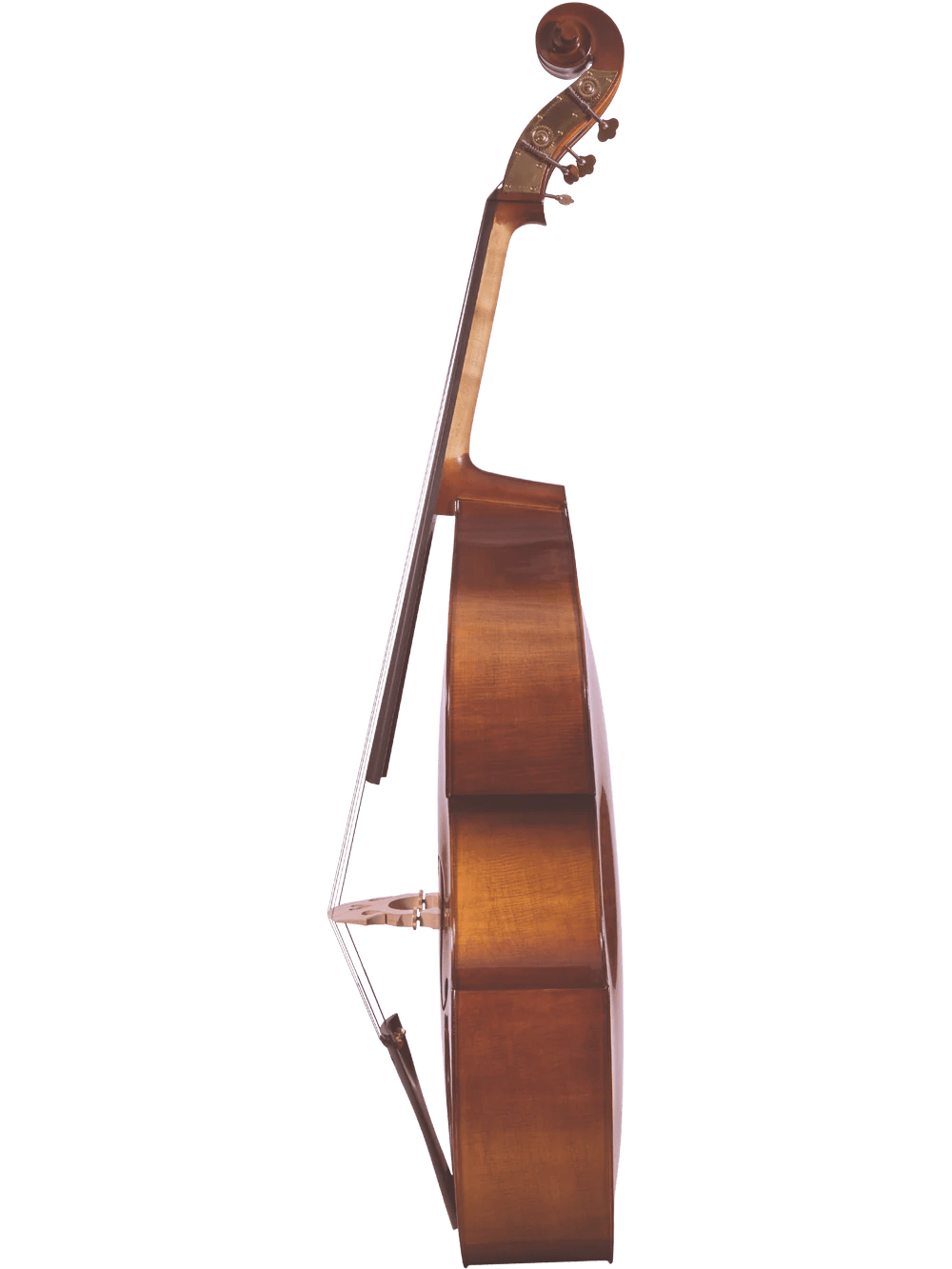 Student Double Bass Outfit – Canzona Allegra 100 Series - AAA Band Instrument Rentals