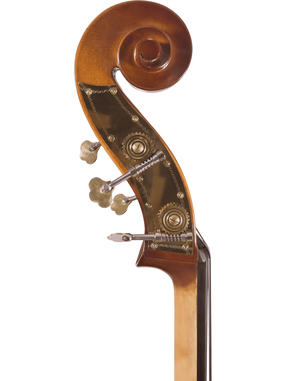 Student Double Bass Outfit – Canzona Allegra 100 Series - AAA Band Instrument Rentals