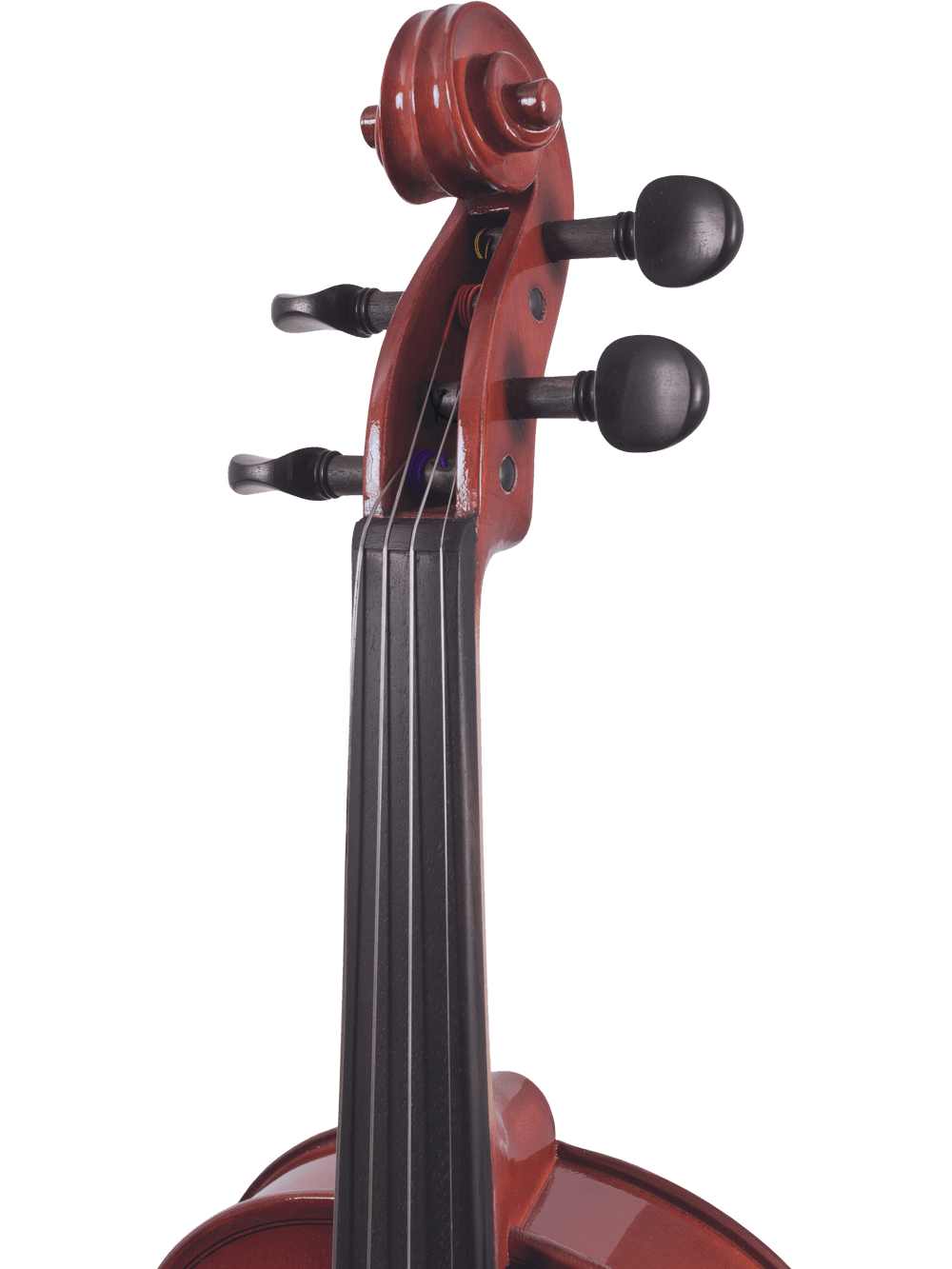 Student Viola Outfit – Canzona Allegra (Hand-Carved Spruce & Maple) - AAA Band Instrument Rentals
