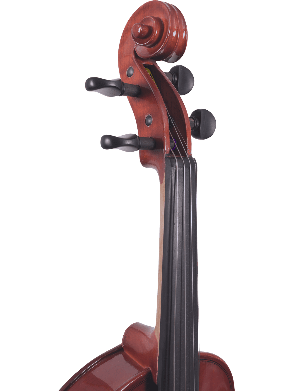 Student Viola Outfit – Canzona Allegra (Hand-Carved Spruce & Maple) - AAA Band Instrument Rentals