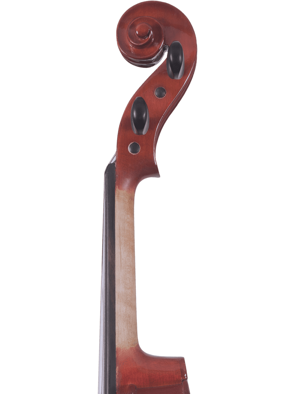 Student Viola Outfit – Canzona Allegra (Hand-Carved Spruce & Maple) - AAA Band Instrument Rentals