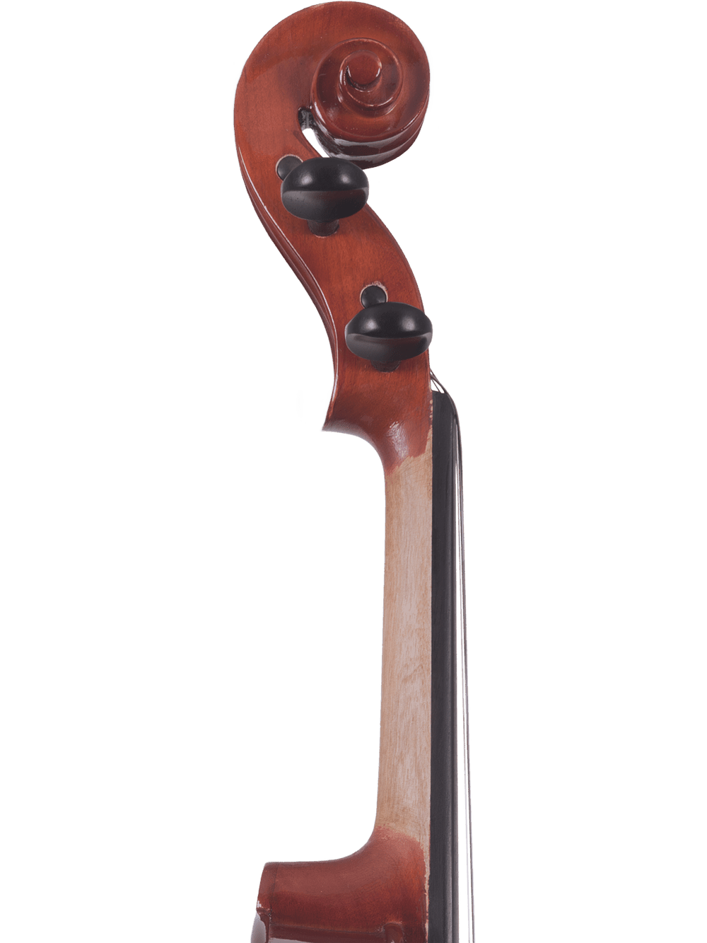 Student Viola Outfit – Canzona Allegra (Hand-Carved Spruce & Maple) - AAA Band Instrument Rentals