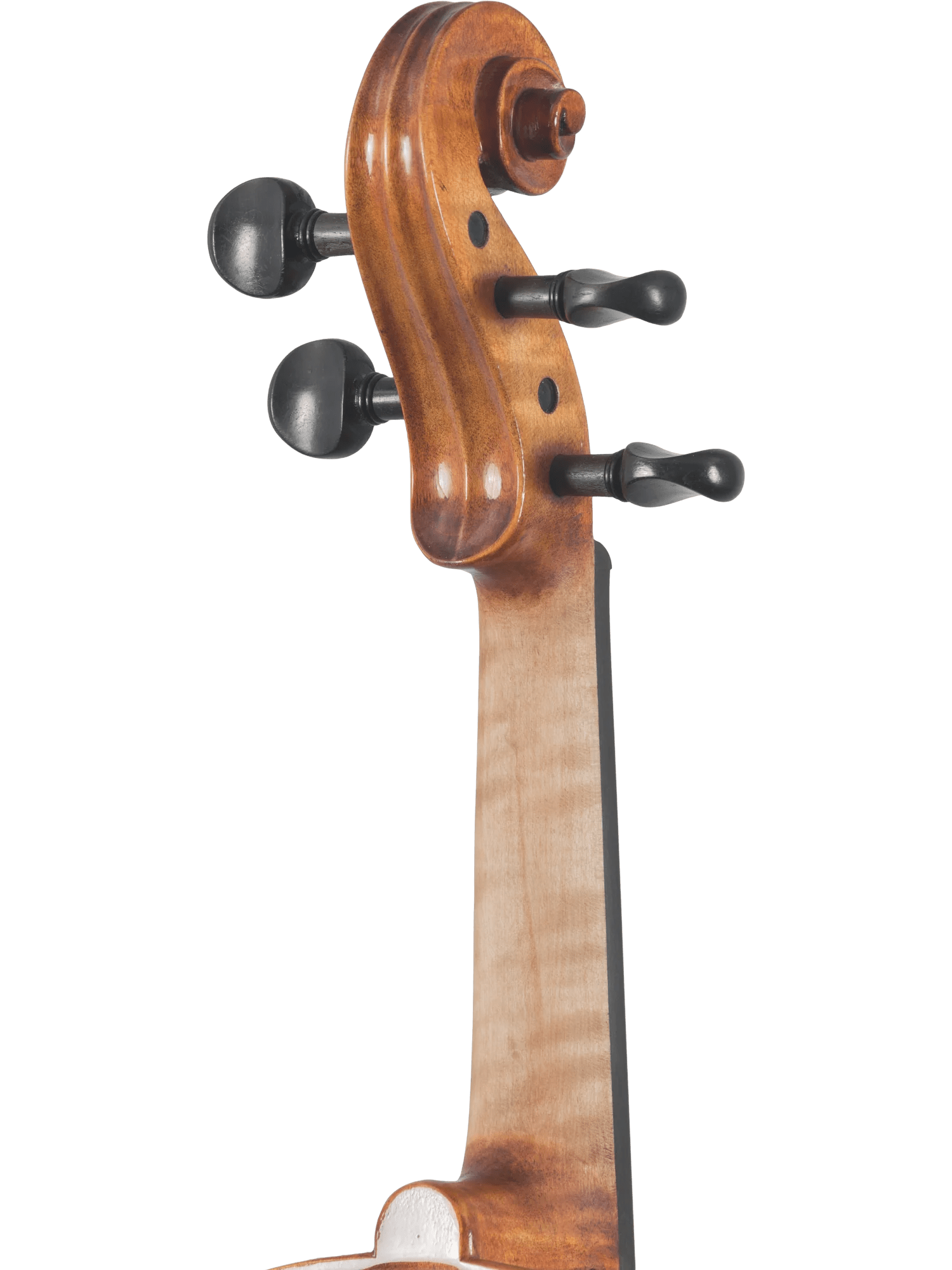 Violin Outfit – Canzona Caprice 300 Series (Hand-Carved Spruce & Maple) - AAA Band Instrument Rentals