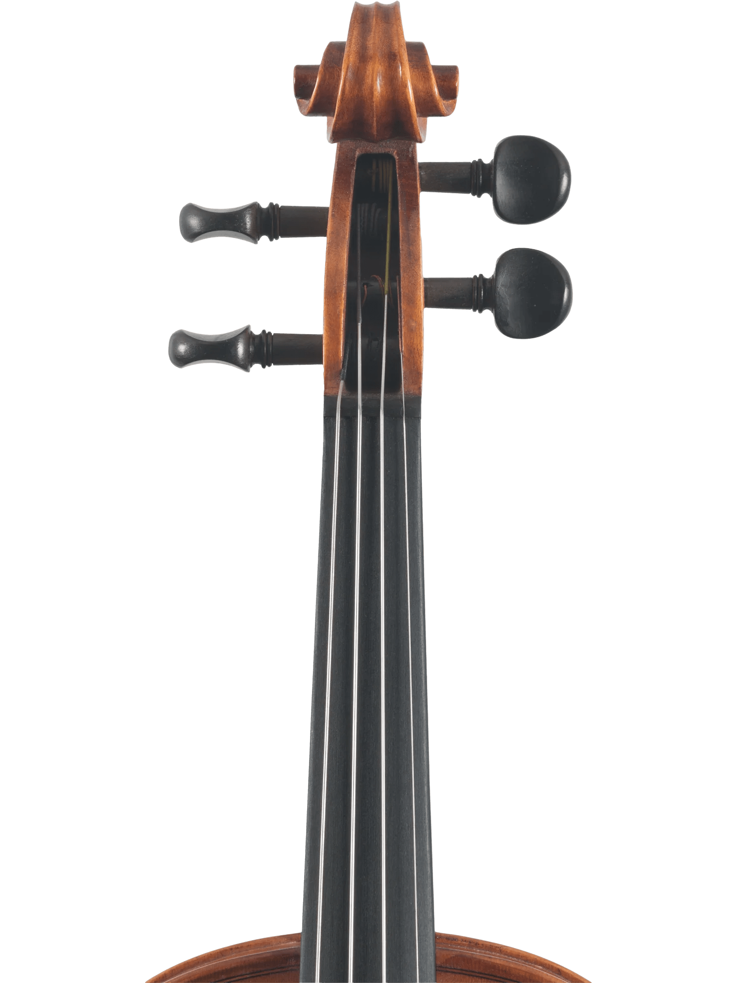 Violin Outfit – Canzona Caprice 300 Series (Hand-Carved Spruce & Maple) - AAA Band Instrument Rentals