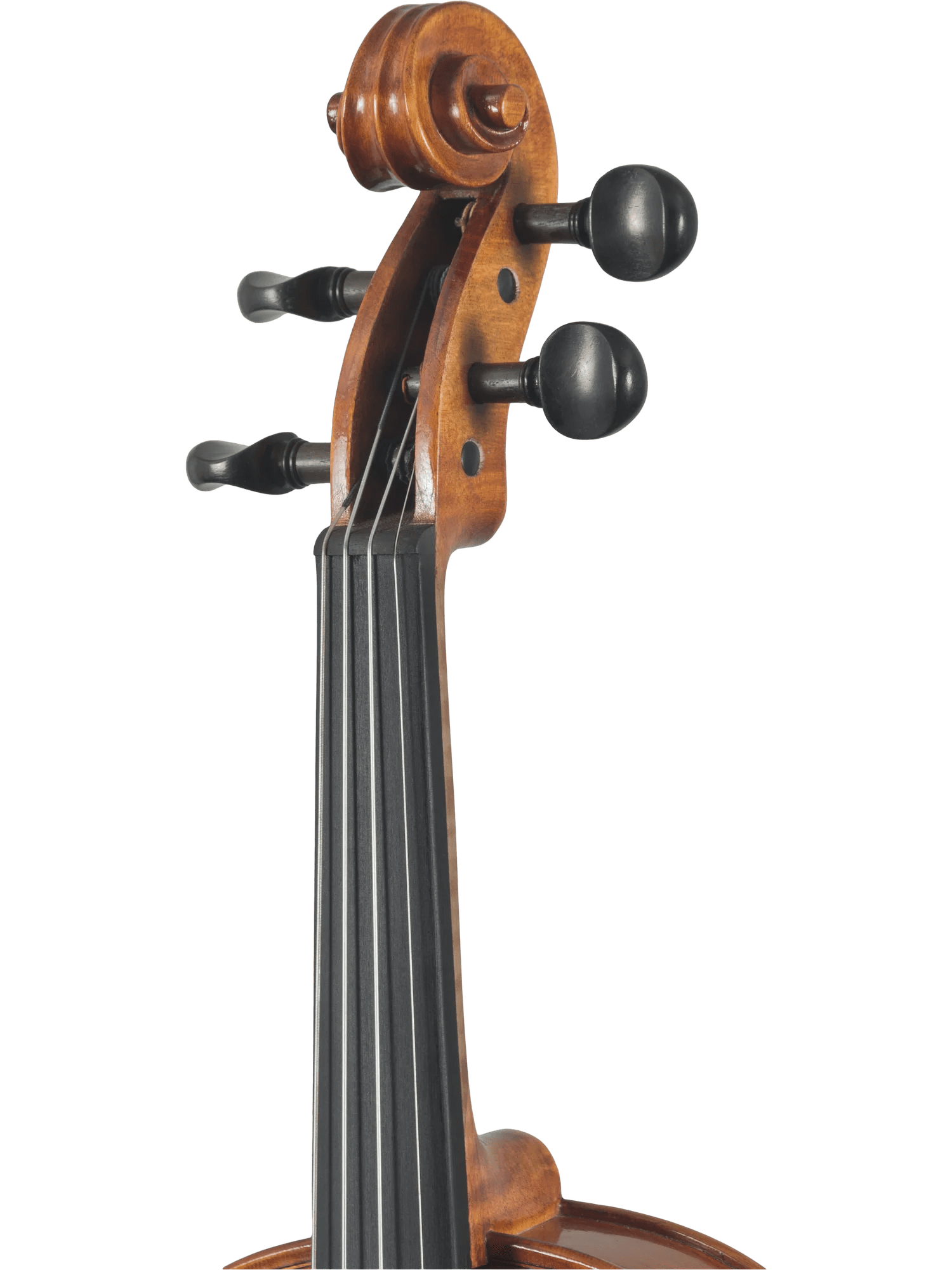 Violin Outfit – Canzona Caprice 300 Series (Hand-Carved Spruce & Maple) - AAA Band Instrument Rentals