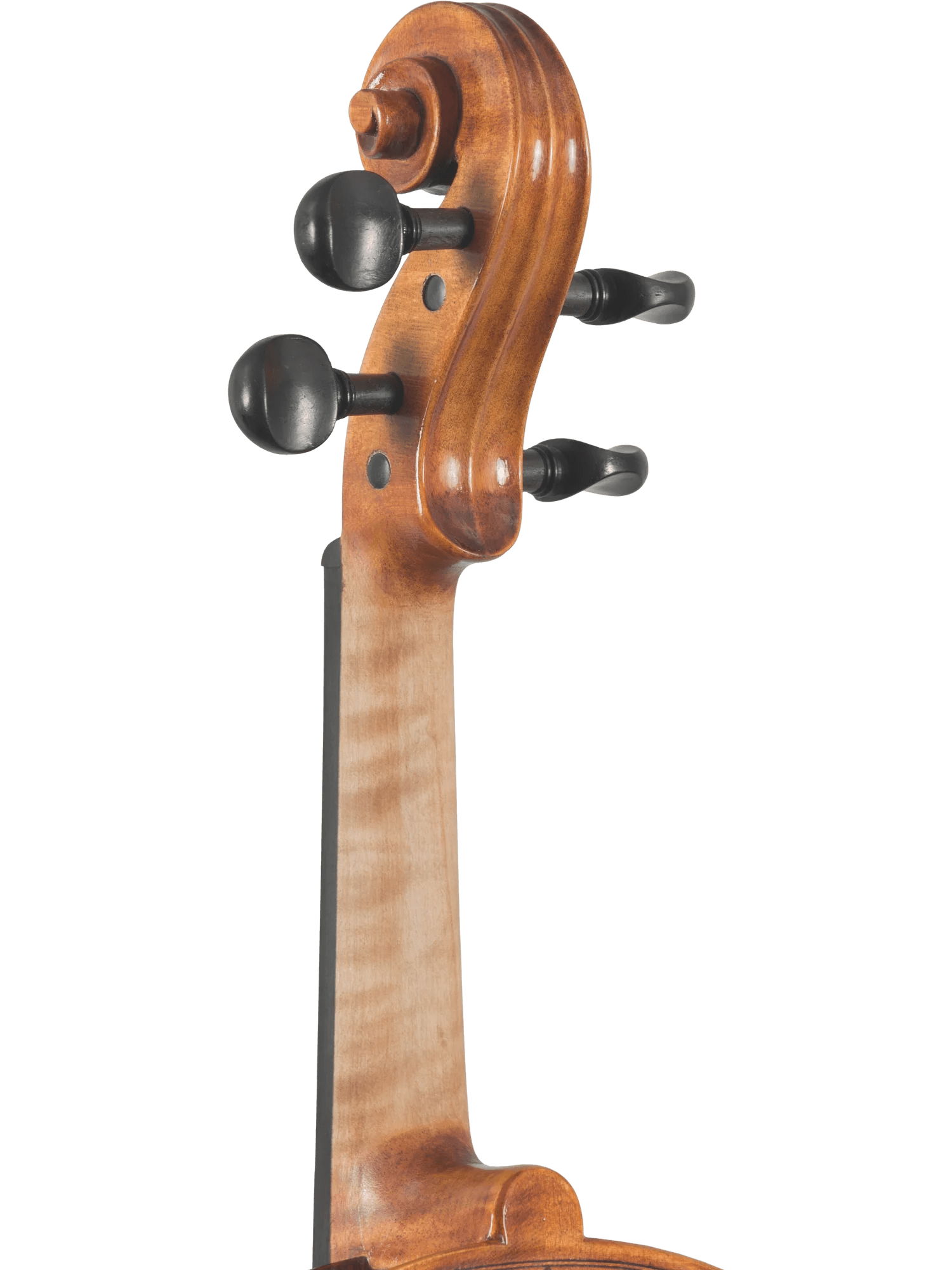 Violin Outfit – Canzona Caprice 300 Series (Hand-Carved Spruce & Maple) - AAA Band Instrument Rentals