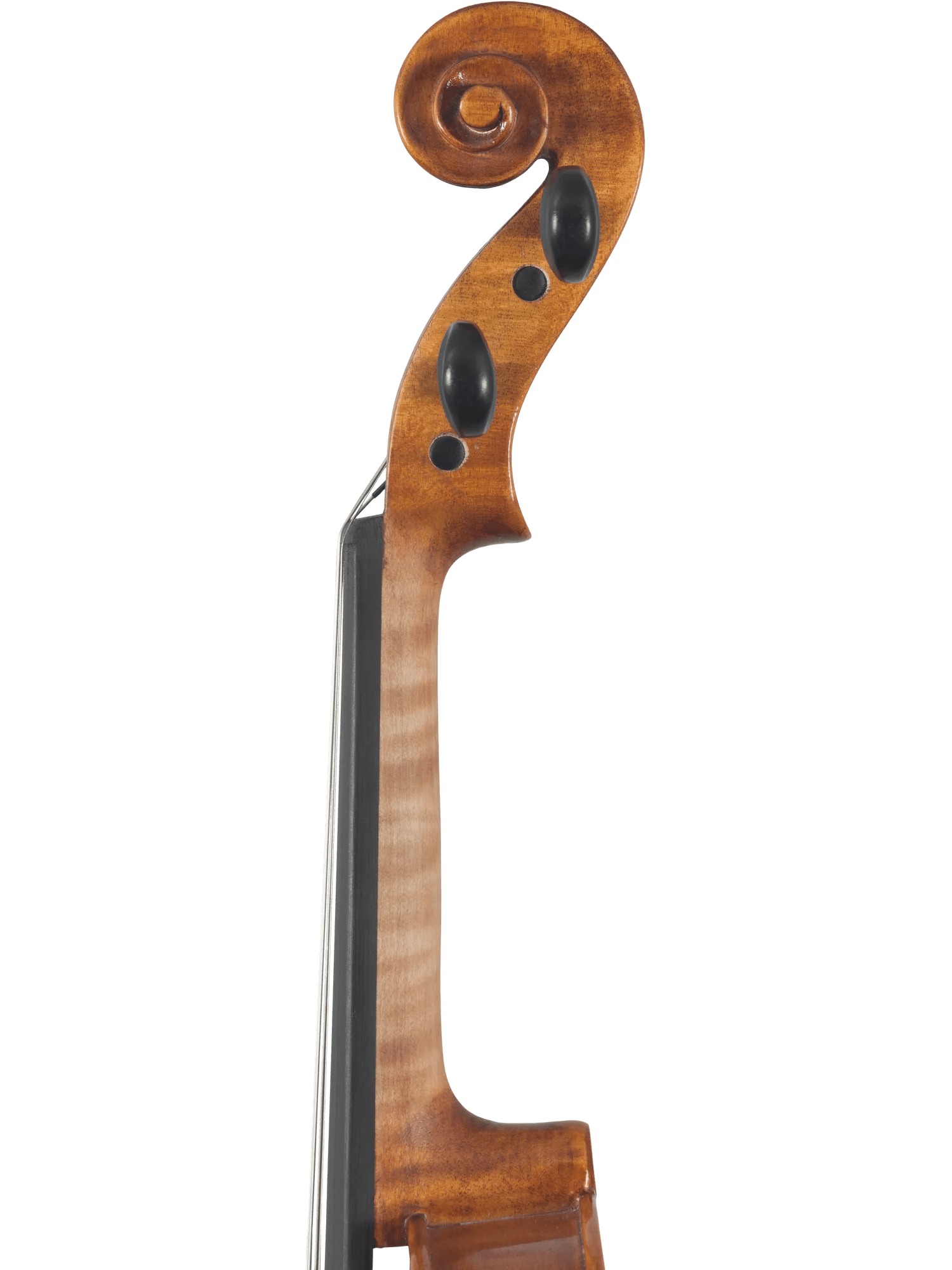 Violin Outfit – Canzona Caprice 300 Series (Hand-Carved Spruce & Maple) - AAA Band Instrument Rentals