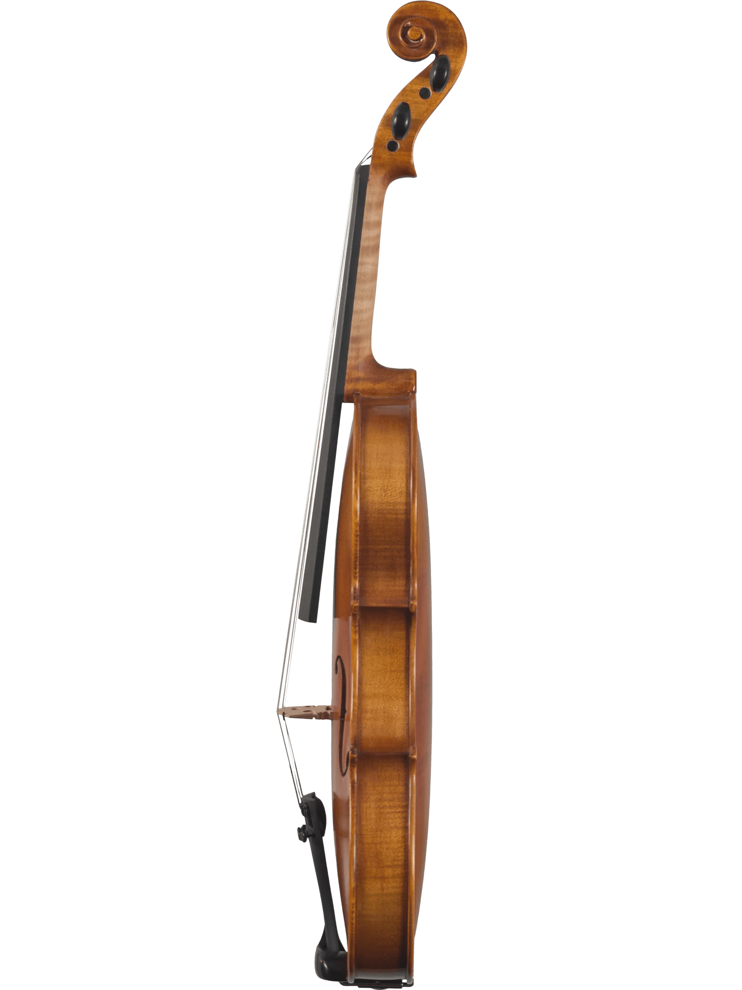 Violin Outfit – Canzona Caprice 300 Series (Hand-Carved Spruce & Maple) - AAA Band Instrument Rentals